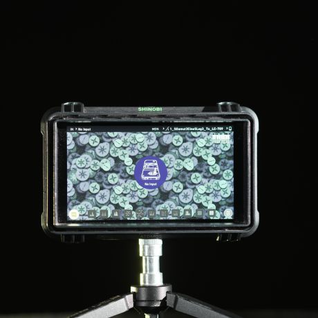 Atomos Shinobi 5"-Monitor